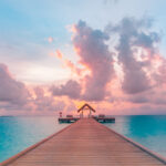born travel travel features 4 scaled